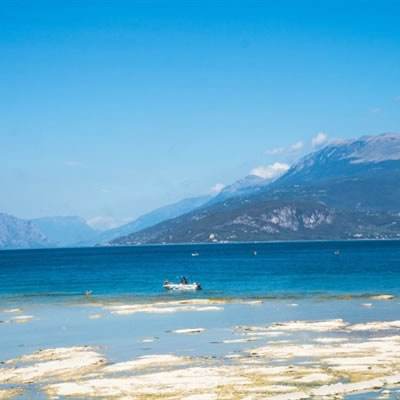 bob体体育app下载