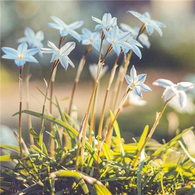 乐发app下载安装官网