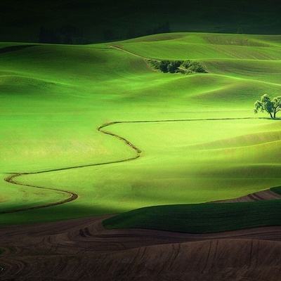 江南体育下载手机版截图