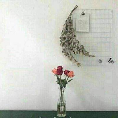 澳门太阳游戏城app下载手机版