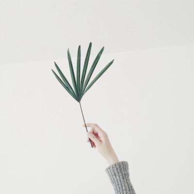 凤凰彩票app手机app下载截图