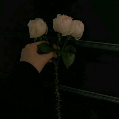 博鱼(boyu)·体育手机app下载